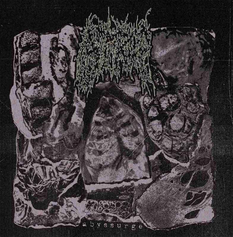 STRUP - Abyssurge CD